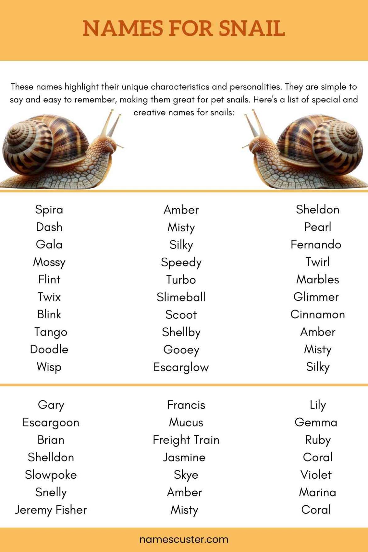 Best Cute Fuuny And Sea Snail Names