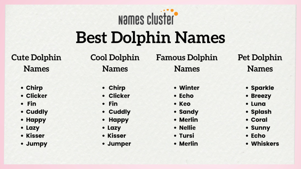 dolphin names