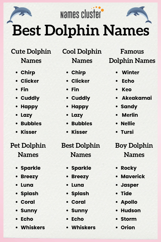 dolphin names