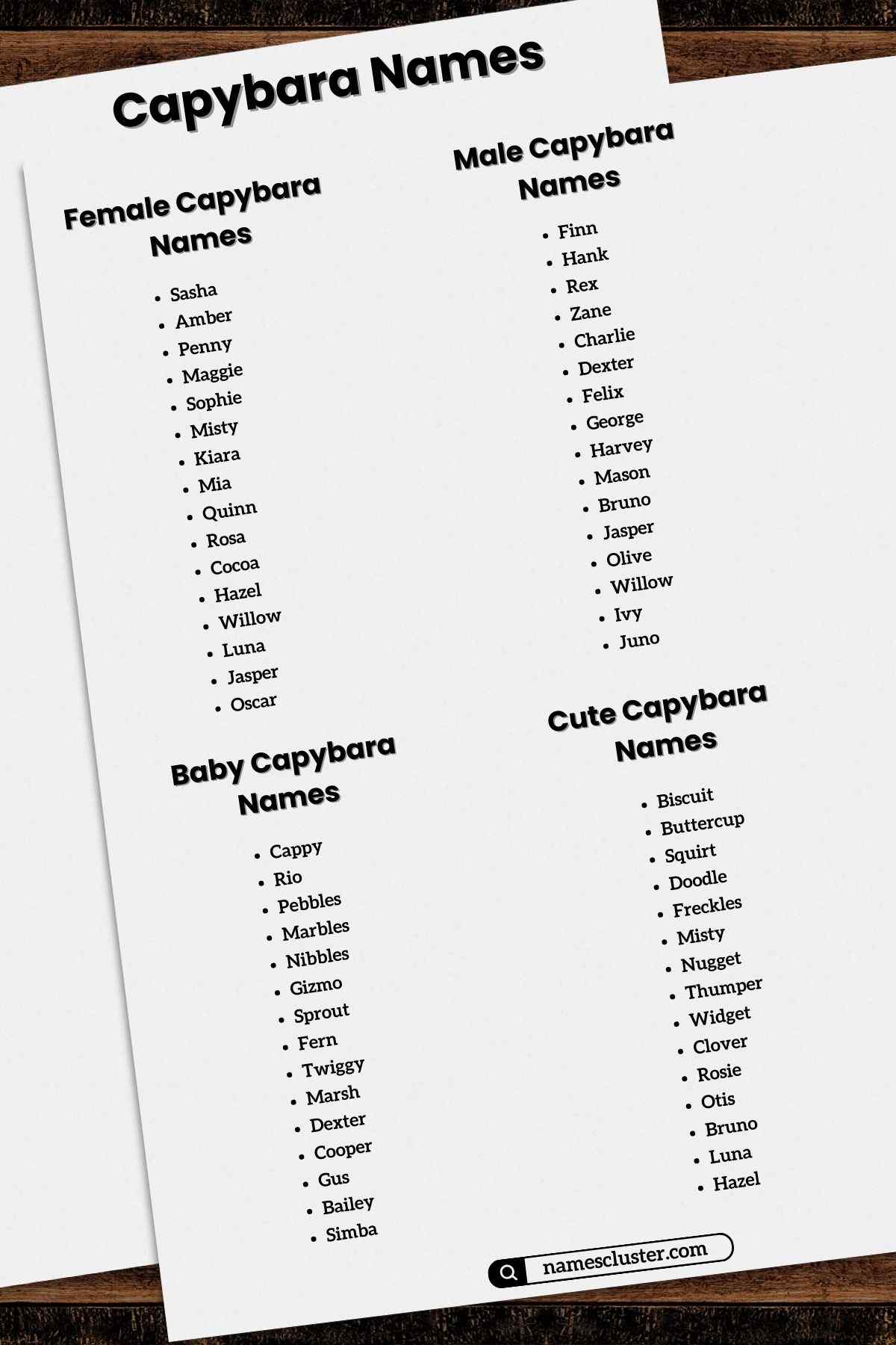 120+ Unique Cool Male and Female Capybara Names