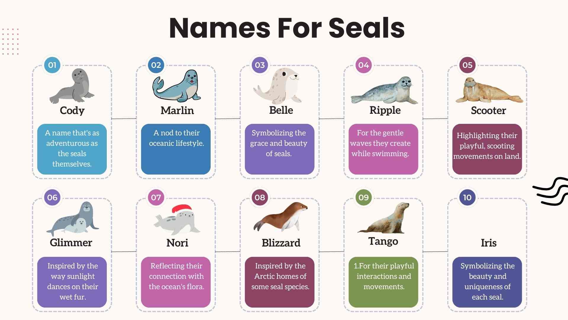 140+ Best Cute Funny Famous and Good Seal Names