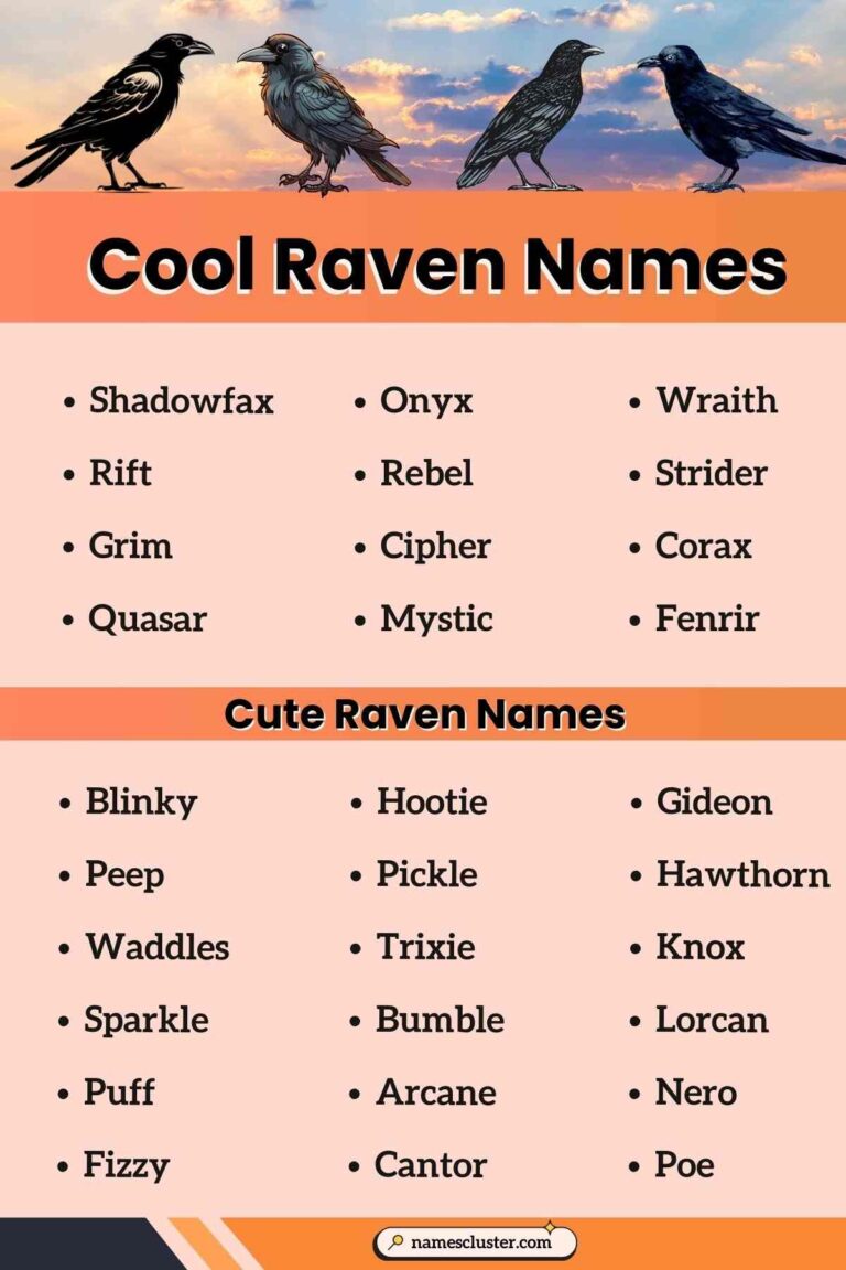 300+ Best Raven Names [Funny, Sweet & Famous Ideas] (2026)