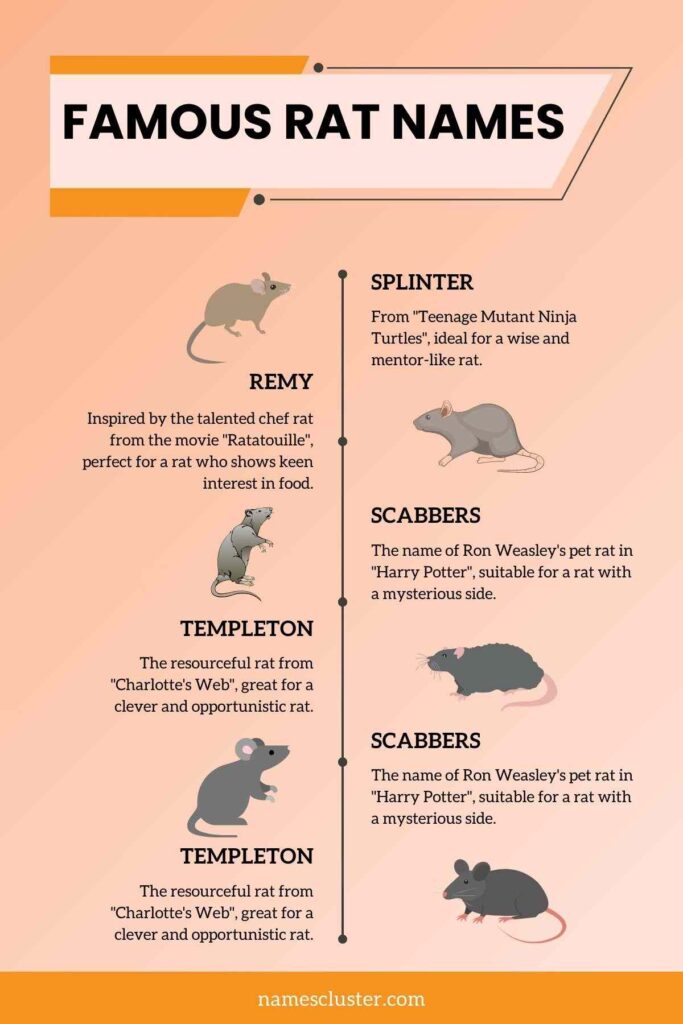 200+ best Unique Cool And Funny Rat Names