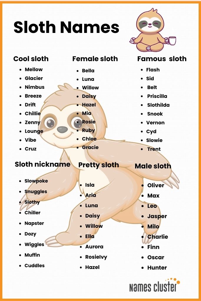 sloth names