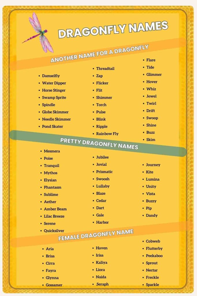 70+ Dragonfly Names