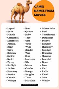 250+ Best Cute Famous And Arabic Camel Names