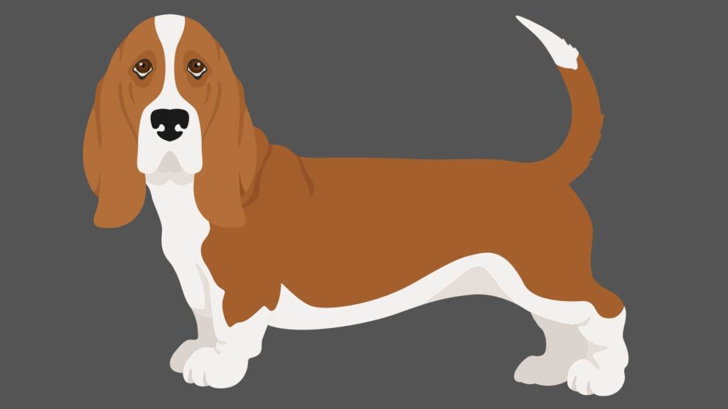 Cartoon-Basset-Hound-Names
