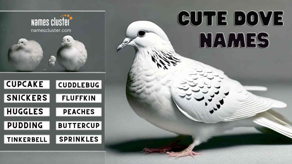 100+ Best And Amazing Dove Names For Your Furry friend