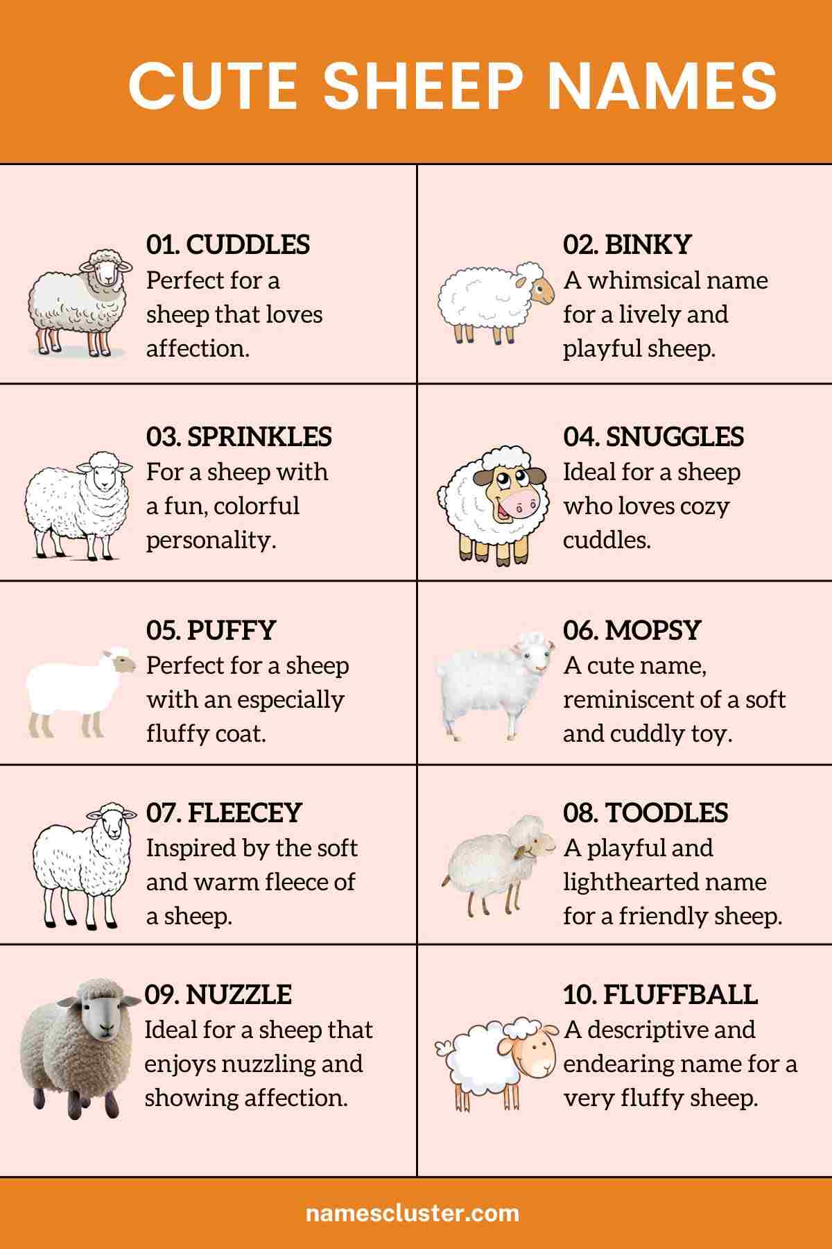 200+ Best Male Female Funny and Clever Sheep Names