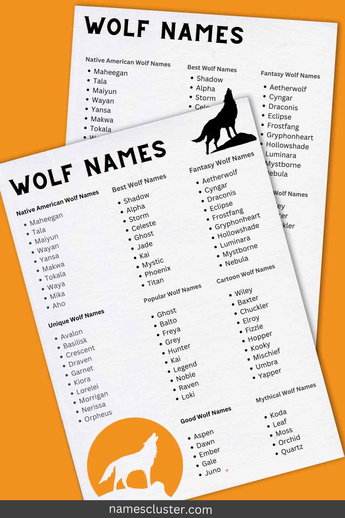 200+ Best Unique and Popular Wolf Names