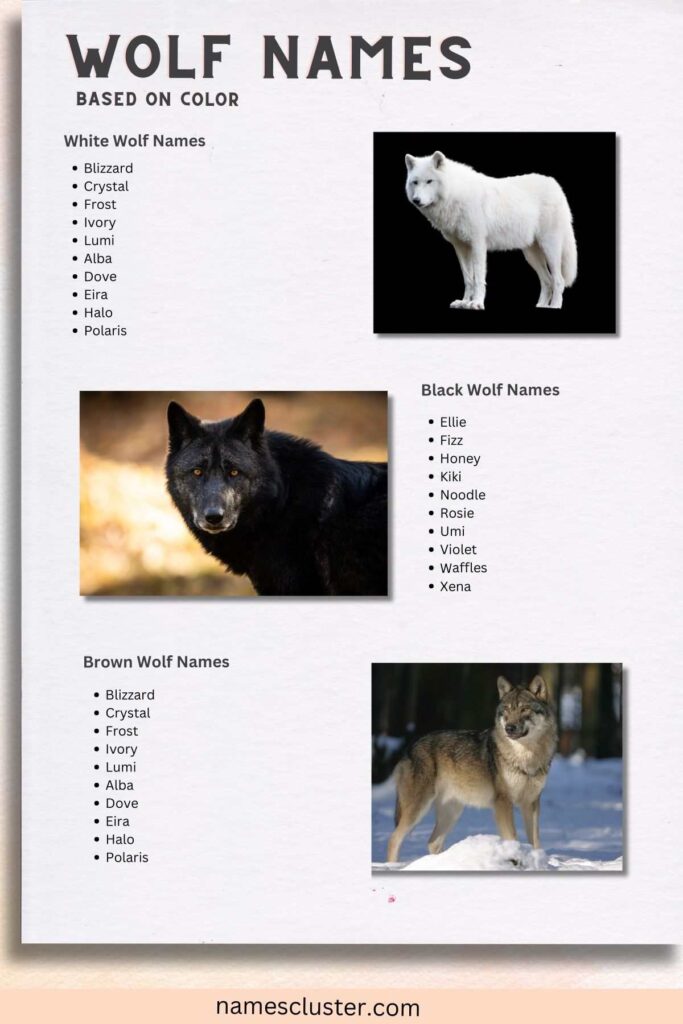 White-Wolf-Names