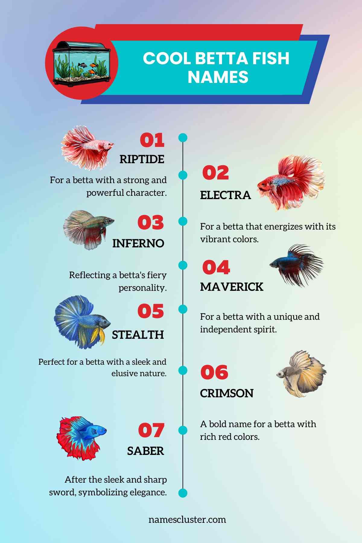 200+ Best Unique Cute and Cool Betta Fish Names