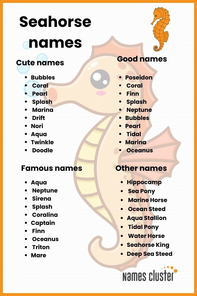 seahorse names